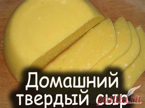 Домашний твердый сыр | СЫРЫ | Постила
