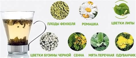 Травяные чаи для похудения в домашних условиях, рецепты