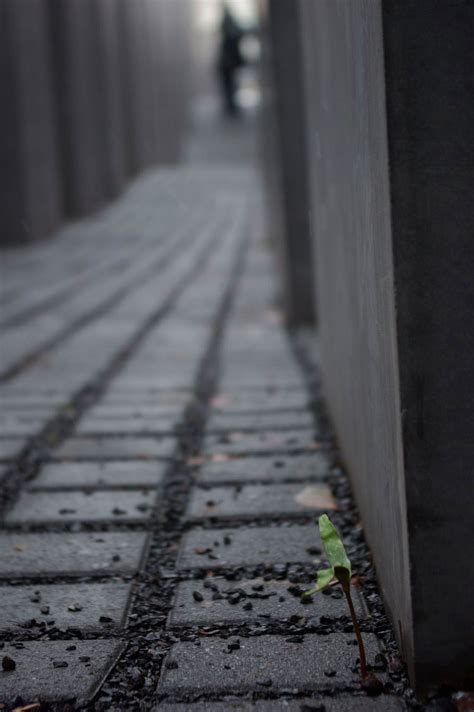 Maybe you would like to learn more about one of these? Fotos urbanas - Página 53