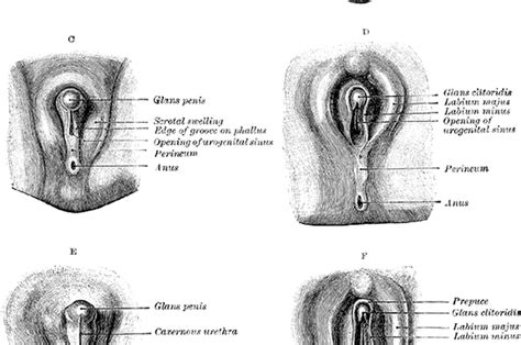 Kondisi ini umumnya terjadi selama beberapa hari hingga minggu bergantung pada penyebabnya. Berapa Lama Vagina Kembali ke Ukuran Normal Usai ...