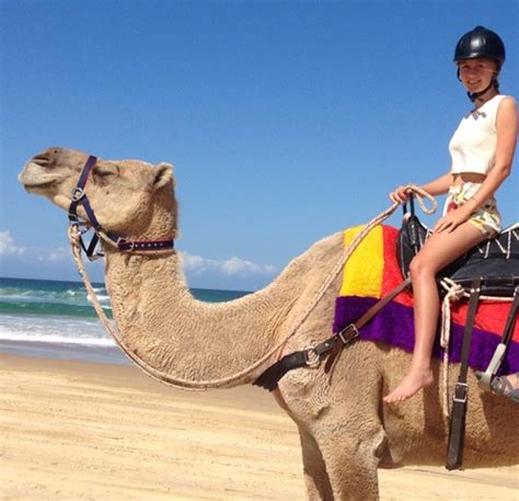 He replied, i am old and married. Coffs Coast Camels - Coffs Harbour