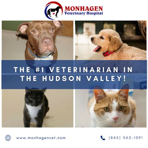 At black river veterinary hospital we provide high quality veterinary care for your pets. Pet Care Services by Monhagen Veterinary Hospital # ...