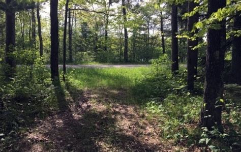 Browse all wisconsin hunting land for sale the state of wisconsin is known across the nation as being home to some of the largest whitetail deer in the. Wisconsin Hunting Land & Cabin for Sale Marinette County ...