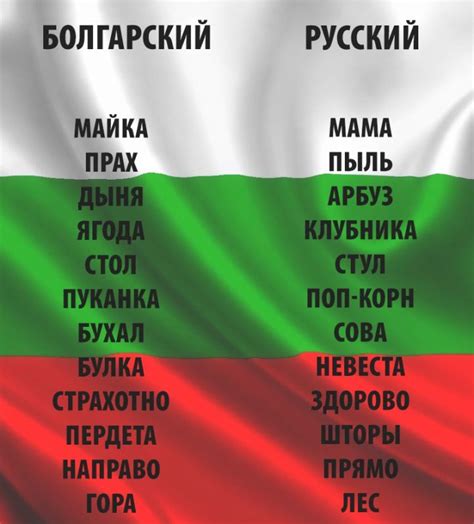 You are on page where you can compare teams bulgaria vs russia before start the match. bulgarian vs russian | Болгарский язык, Болгария, Язык