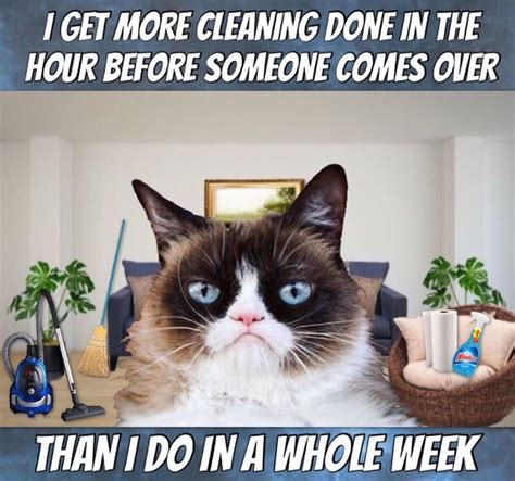 See more of grumpy cat memes on facebook. Grumpy Gets More Cleaning Done In The Hour Before Someone ...