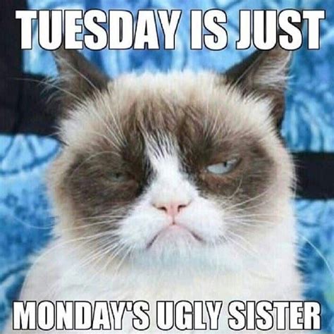 Days like these are not always easy in the life of an funny happy tuesday memes 029. 15 Happy Tuesday Memes - Best Funny Tuesday Memes