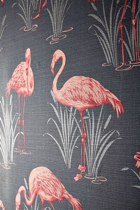 Coming in a huge array of colours and styles, there is a wallpaper to suit every taste. Grey & Coral Pink Arthouse Lagoon Flamingo Vintage Luxury ...