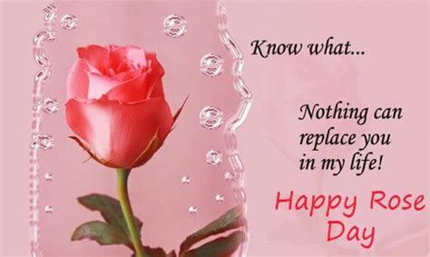 The significant season to appraise your. Rose Day 2018 Quotes Sayings and Images - Freshmorningquotes