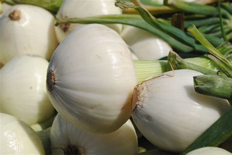 Pull weeds and grasses from your garden before planting onions. Grow Sweet Onions | Sweet onion, Edible garden, Lawn and ...