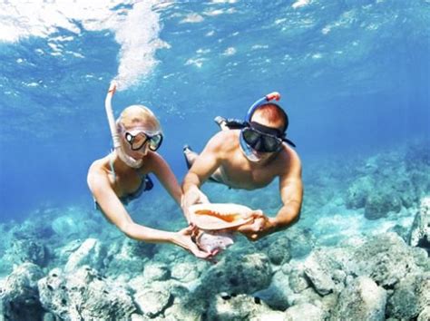 How do i purchase a learn to dive gift voucher? snorkeling in jamaica | California travel, Snorkeling ...