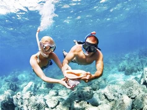 How do i purchase a learn to dive gift voucher? snorkeling in jamaica | California travel, Snorkeling ...