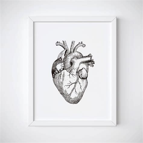 We did not find results for: Anatomical Heart Print, Human Heart Anatomy Print, Heart ...