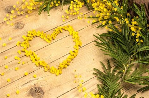 Ti auguro qualcuno che ti svegli con un bacio la mattina del giorno del tuo compleanno. Frasi, messaggi, sms Auguri Festa della Donna con video ...