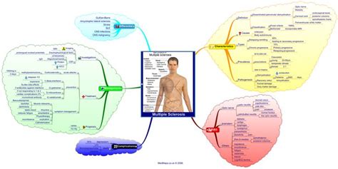 People with multiple sclerosis sometimes experience exacerbations where old. multiple_sclerosis.png (1600×802) | Multiple sclerosis, Multiple sclerosis awareness, Medical ...