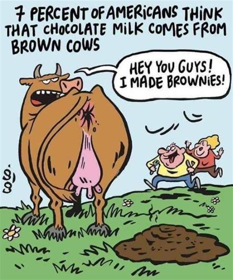 I can't imagine tee using any sort of bottled hershey's or nesquik, and i'm chocolate milk quotes. Chocolate brownies! | Cows funny, Milk quotes, Cow