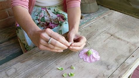 Hollyhock flowers are truly an old garden favorite, similar to hibiscus. Making a Hollyhock Doll | Hollyhock, Dolls, How to make