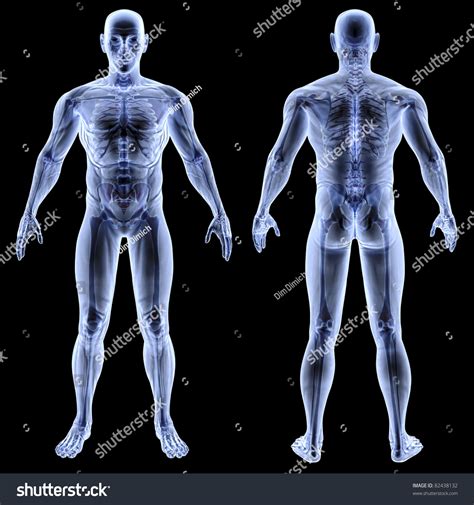 Free for commercial use no attribution required high quality images. Male Body Under Xrays Isolated On Stock Illustration ...