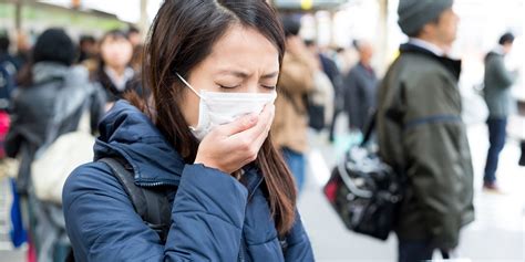 オウム（鸚鵡、鸚䳇）は、オウム目オウム科に属する21種の鳥の総称である。インコ科(psittacidae, true parrots)、ミヤマオウム科、ニュージーランド産の大型のインコ)とともにオウム目 (psittaciformes) を構成する。現存するオウム目の系統の多くは、さまざまな面で解明されていない。 川崎で発生したオウム病 その驚きの感染経路とは! クラミジア ...