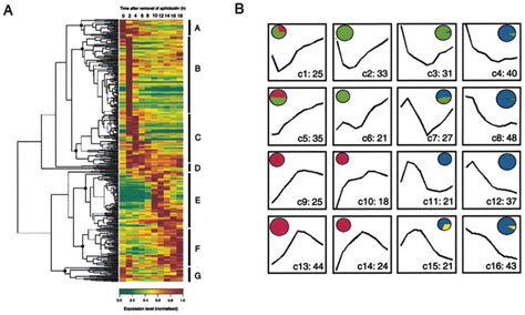 The term checkpoint has often been used incorrectly in the plant cell cycle literature to indicate the g 1 /s and g 2 /m transitions. Clustering analysis of gene expression during cell cycle ...