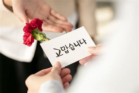 어버이날 카네이션 그리기 캘리그라피 어버이날 문구 감사글귀 봉투 수채화 캘리그라피 독학 조이어스박tv 어버이날 인기있는 감동의 문구. 어버이날 문자·문구, 감동 드리는 '감사·사랑'의 한마디 - 머니S