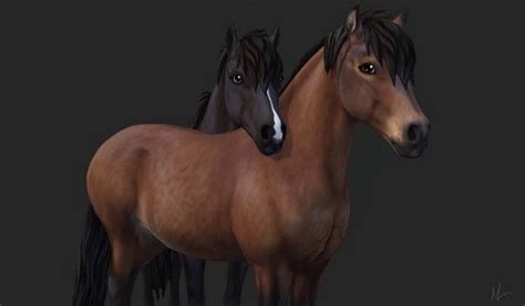 These can be found at silverglade village, fort pinta, as well as jarlaheim. Photoidea for the Gotland-Ponys! in 2021 | Sso pferde ...