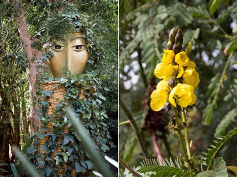 Check spelling or type a new query. Geheimtipp Marrakesch: Der ANIMA-Garten - ein Ausflug ins ...