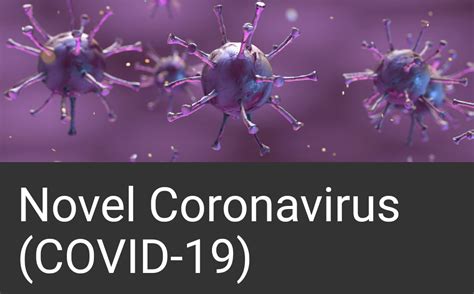 Check out the best coronavirus dashboard @ the link in bio!. COVID-19: Ontario reports 85 new cases today and worker in ...