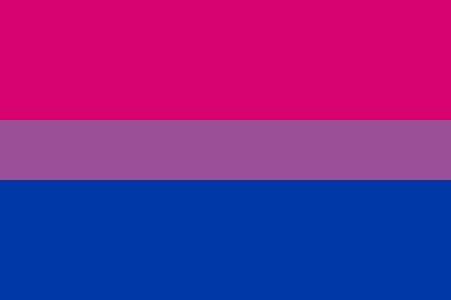 Bandera orgullo bisexual 90x150 cantidad. Comprar Bandera Orgullo Bisexual - Comprarbanderas.es