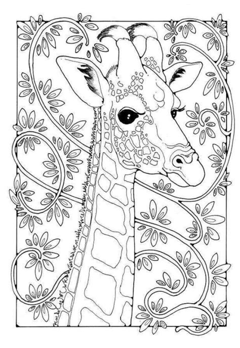 Click the baby giraffe coloring pages to view printable version or color it online (compatible with ipad and android tablets). Pin by Tamera Kavouras on Малюнки in 2020 | Giraffe ...