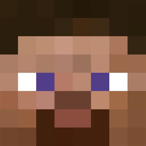 This command maker has a range of options for summoning axolotl mobs. Steve face | Minecraft Faces | Minecraft steve, Minecraft ...