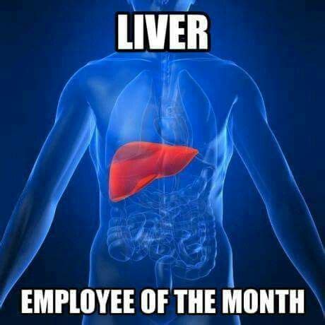 You're out there on the front lines, and the work you do has been deemed too important to be halted for any. Liver, employee of the month | Funny meme pictures, Funny pictures, Funny memes