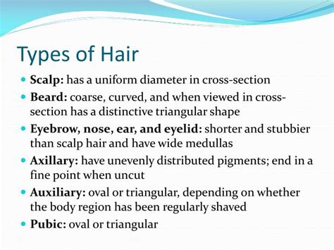 PPT - HAIR ANALYSIS PowerPoint Presentation - ID:2047646