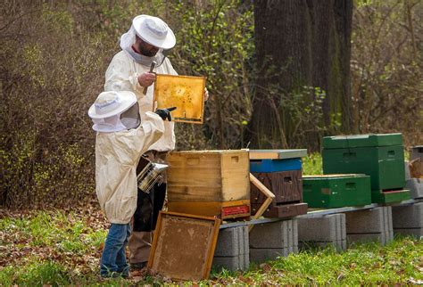 közös méhészeti termékek kezelése