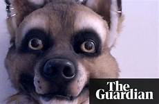 furry sex furries animal why identity among unique normal