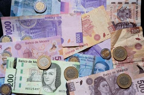 We did not find results for: Qual moeda levar para o México: dólar, real ou peso mexicano?