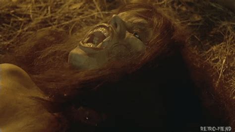 I sit down to watch the in the pantheon of werewolf movies, it's not unwatchable, or even bad. The Howling GIFs - Find & Share on GIPHY