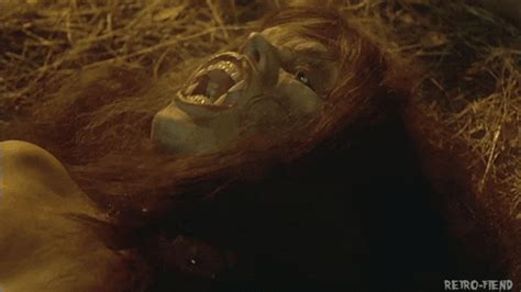 Not just in motion pictures, many of the horror literature have also been adapted. The Howling GIFs - Find & Share on GIPHY