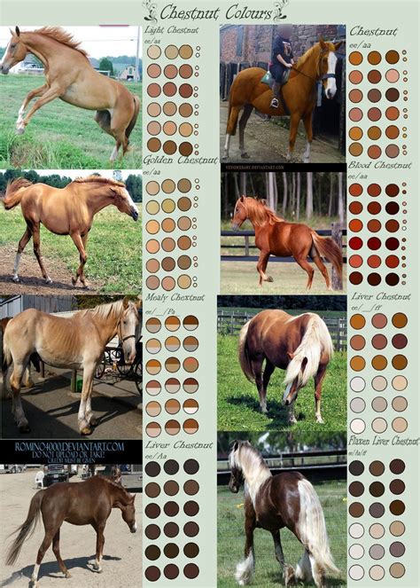 Check spelling or type a new query. Chestnut Horse Colours by EdithSparrow on DeviantArt in ...