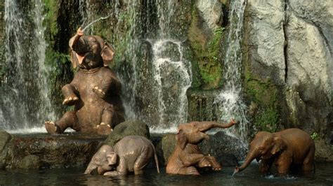 Maybe you would like to learn more about one of these? 'Jungle Cruise' at 65: How the Movie Will Pay Tribute to ...