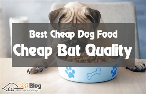This cat food is awesome. The Top 5 Best Cheap Dog Food with Good Quality! - Just ...