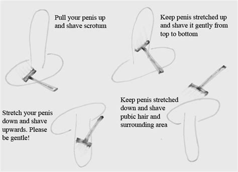 This philips hair removal for men's intimate area provides the best way to shave or trim your pubic area hair. Male Pubic Hair and Scrotum Shaving: Benefits and Tips ...