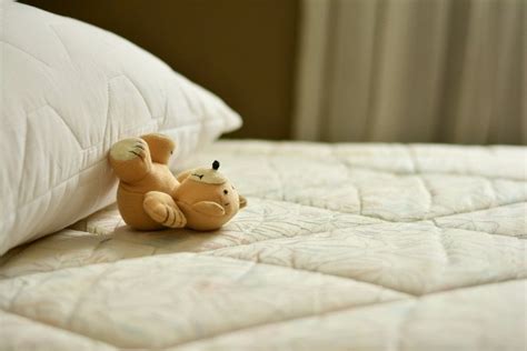 You have enough things to worry about. How to Remove Urine Stains and Odors from a Mattress ...
