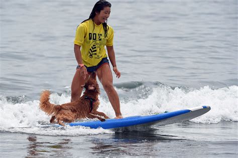 When your dog jumps, turn your back and avoid physical, vocal, or eye contact until the dog stops jumping. PsBattle: Surfer and her dog | Rebrn.com