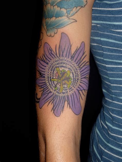 No tattoos tagged 'passionflower' include hot pics view private pics →. TRUE NATURE TATTOO: Passion Flower