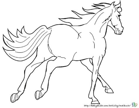 Ausmalbilder von pferde auf besteausmalbilder.de. Ausmalbilder Lustige Pferde | Ausmalbilder