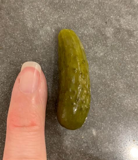 Pickle puh pickle puh puh puh pickle picklethe 10 hour version: Tiny Pickle Unit (pinky finger for scale) : TinyUnits