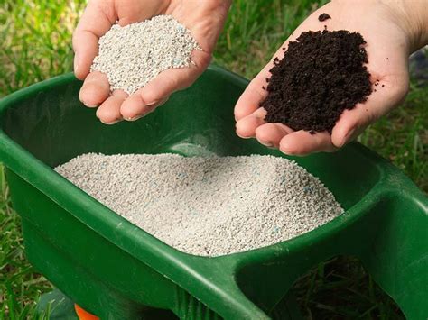 We did not find results for: How Often Do You Need to Fertilize Your Lawn