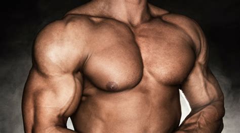 It has about the size of a fist. Functional Training Chest Workout | Muscle & Fitness