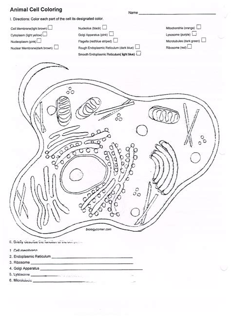 Check spelling or type a new query. Cell Organelle Coloring Worksheet 232 Page - Worksheets ...