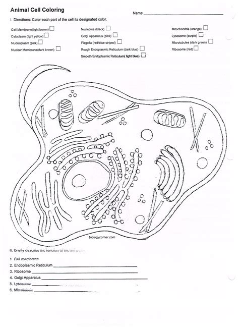 The animal and plant cell labeling key from animal and plant cells worksheet, source:biologycorner.com. Cell Organelle Coloring Worksheet 232 Page - Worksheets ...